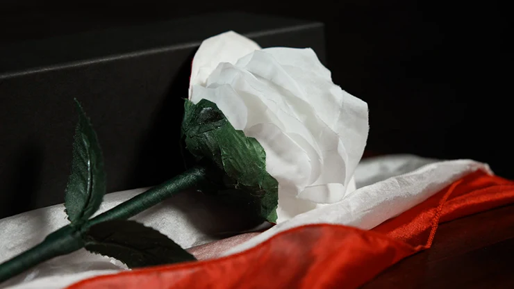 Fantasy Rose - Image 3