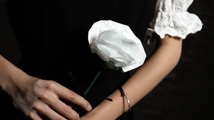 Fantasy Rose - Image 6