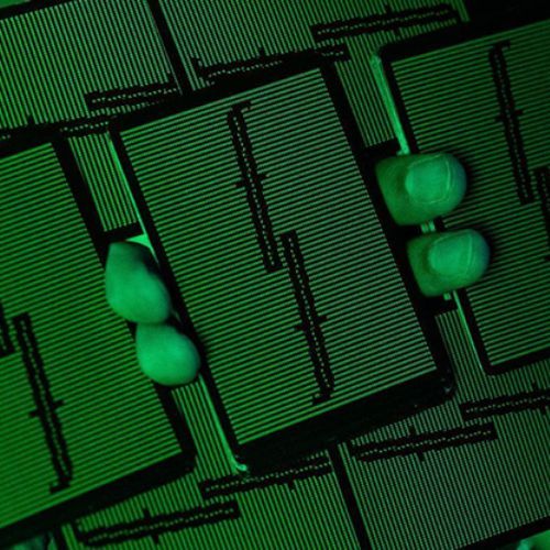 Fontaine Fever Dream - Image 22