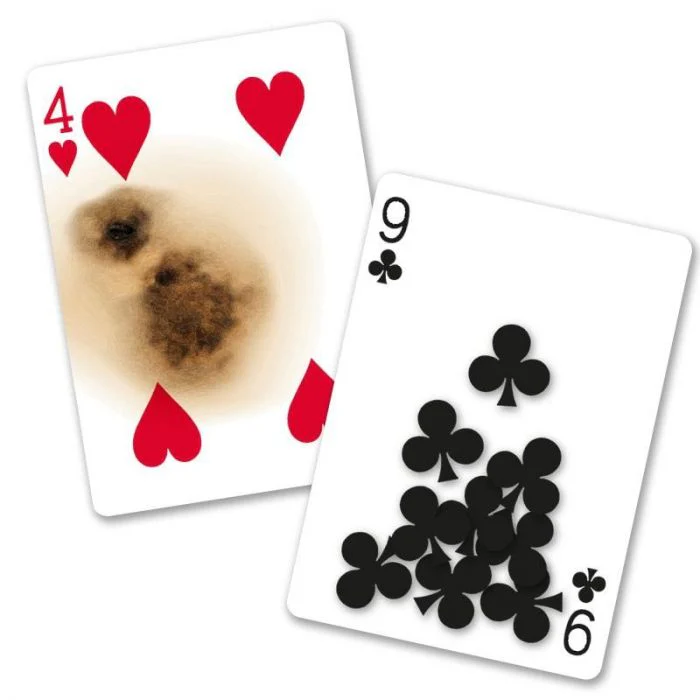 Bicycle Super Gaff Deck - Image 2