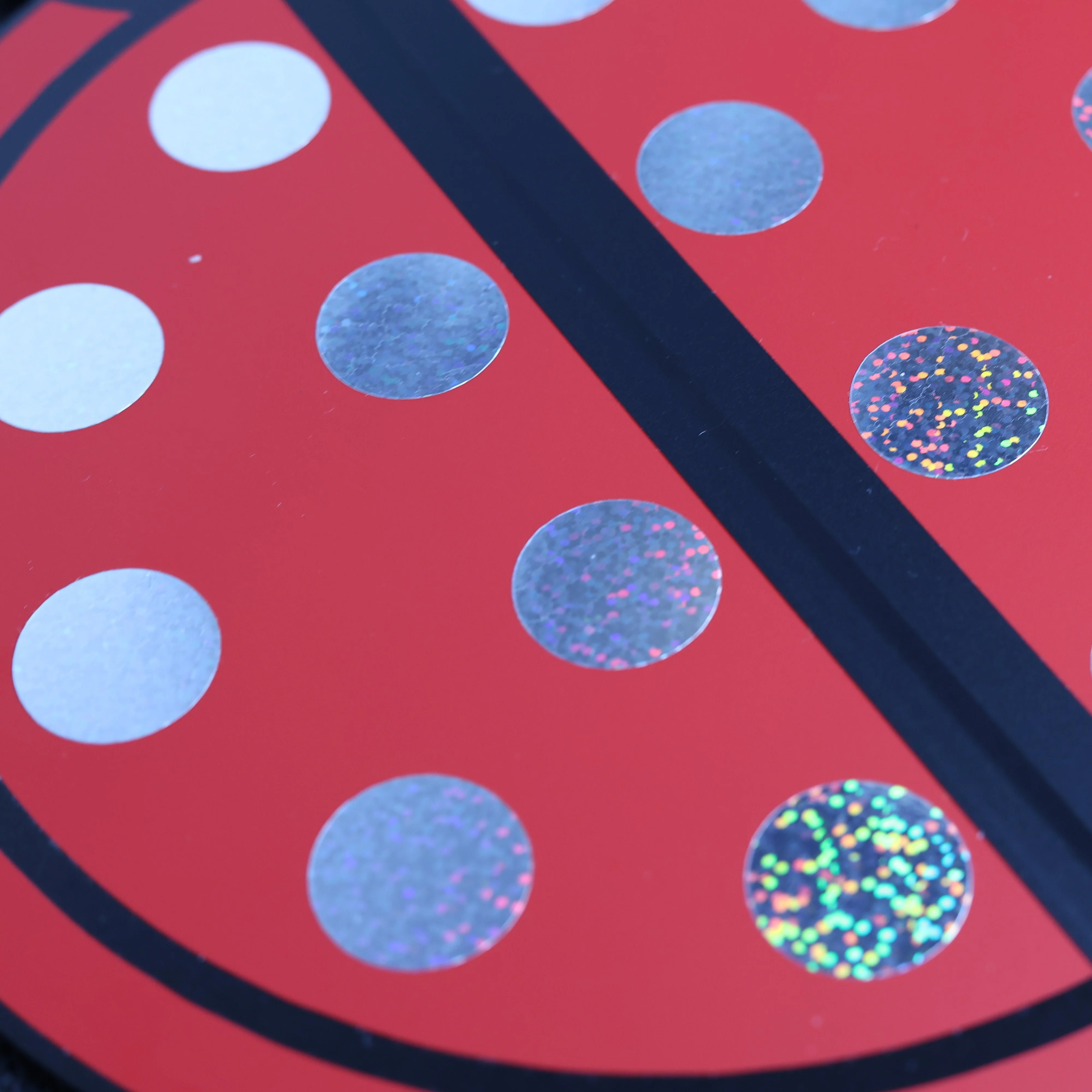 The Ladybug - Image 2