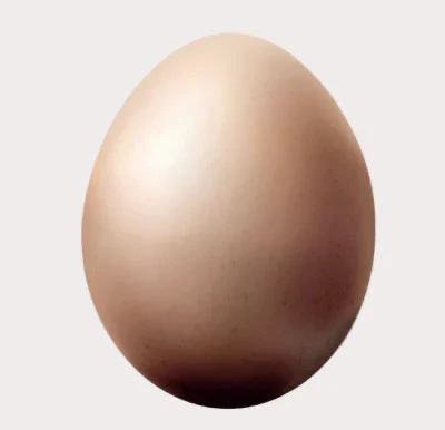 Le Principe De La Poule - Image 3