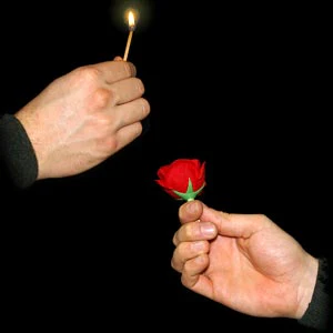 Match to Rose (Allumette en Rose)