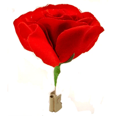 Match to Rose (Allumette en Rose) - Image 2
