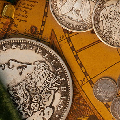 Pièce Jumbo Morgan - Image 3