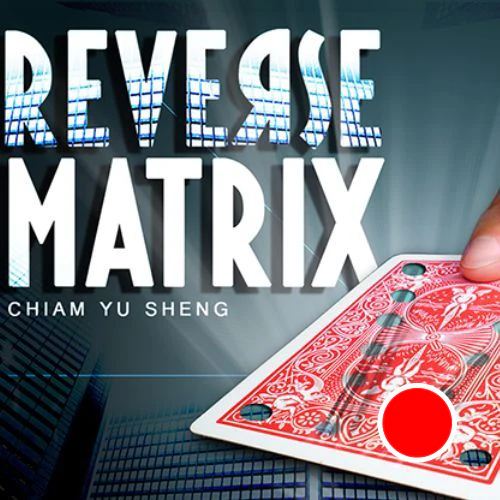 Reverse Matrix - Image 3