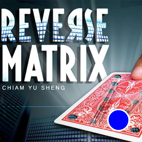 Reverse Matrix - Image 4