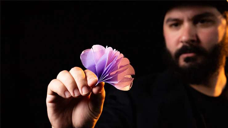 Spring Flowers (2 Pk Paper) - Image 3