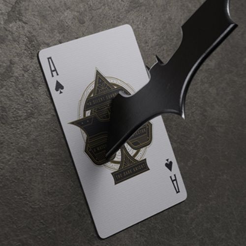 The Dark Knight x Batman - Image 9