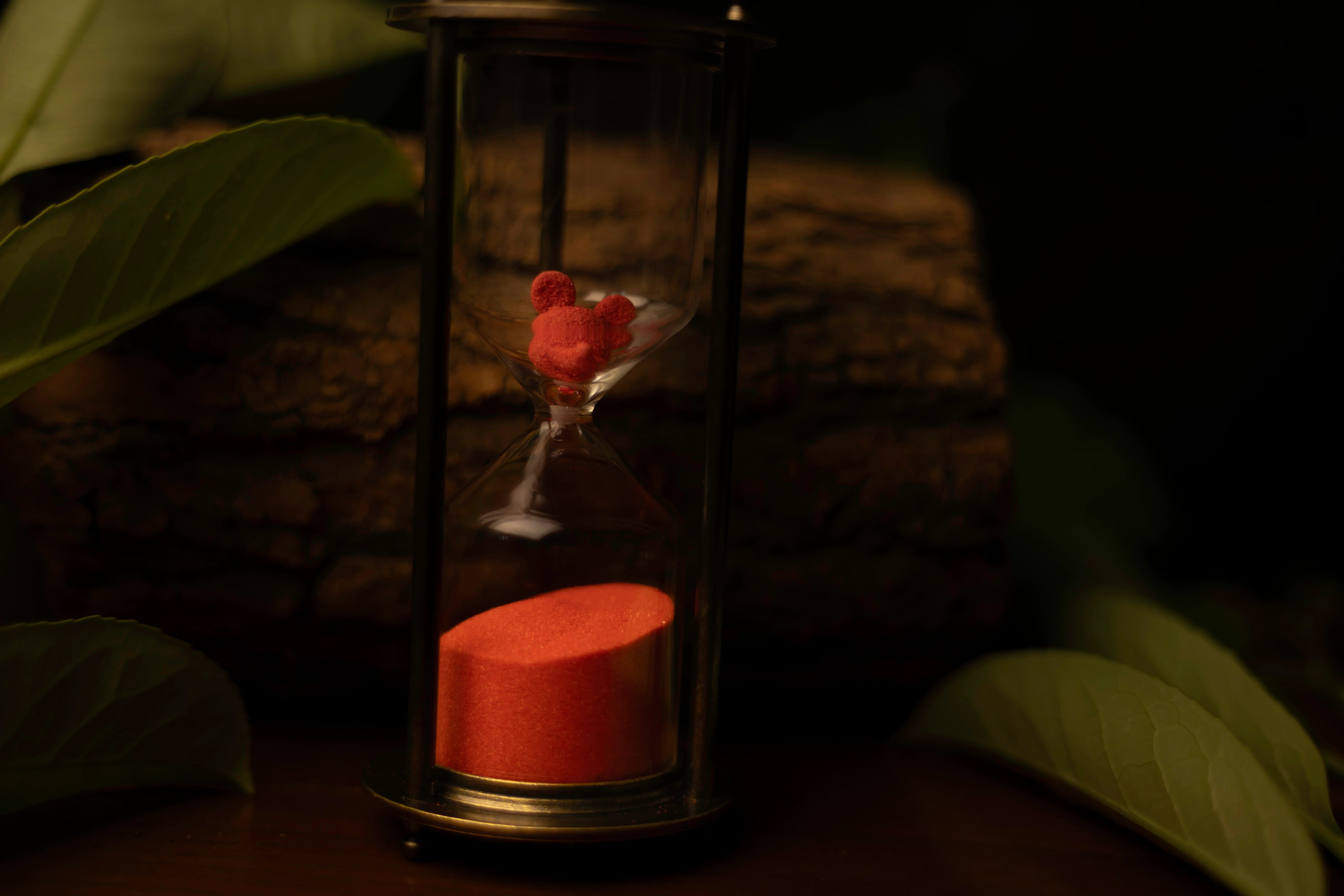 TIME - Image 22