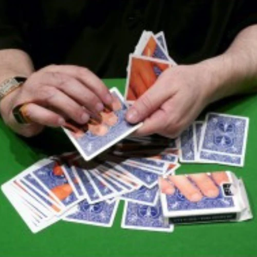 La Carte Caméléon - Image 3