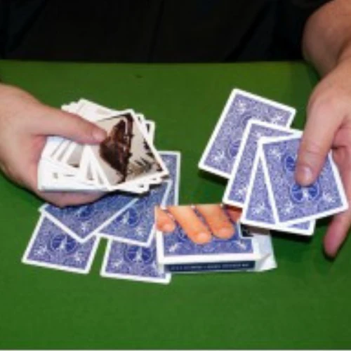 La Carte Caméléon - Image 4